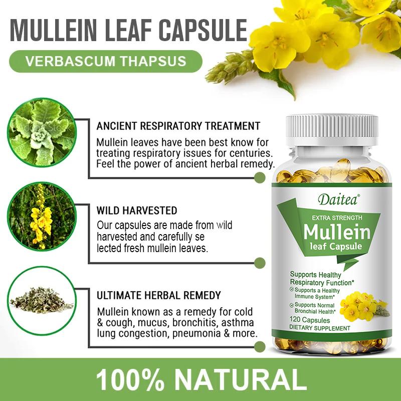 Herb Extract Capsules 120 Count Extra Strength Vegan Non GMO Gluten Free