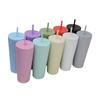 Stainless Steel Thermos Cup Large Capacity Matte Outdoor High Value Random Cup Double Layer Straw Cup