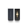 Daniel Wellington Petite Evergold Watch with Gold Mesh Bracelet, Gold, 28mm, Petite Evergold