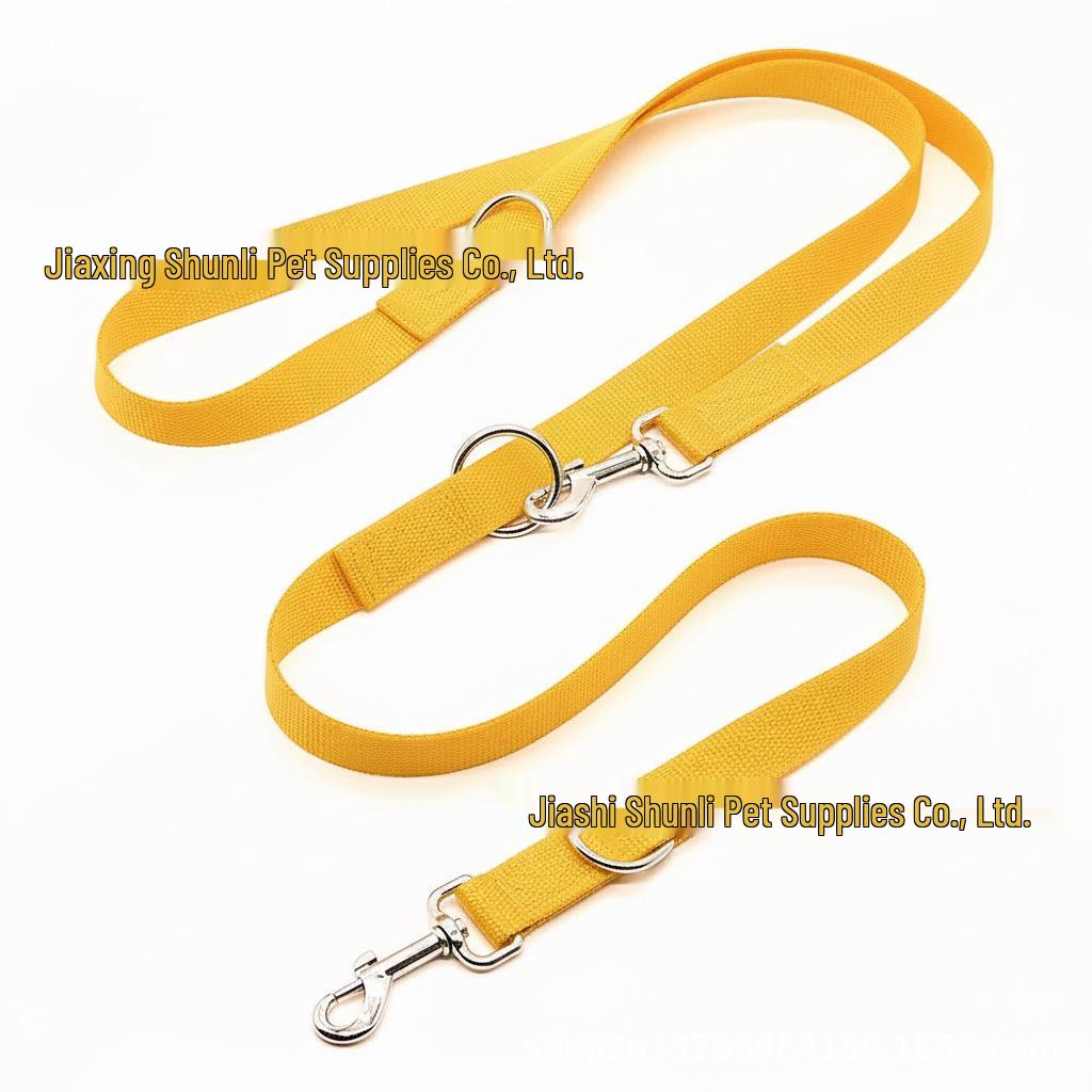 Multifunctional Dog Leash for Training, Running & Outdoors - Bestseller