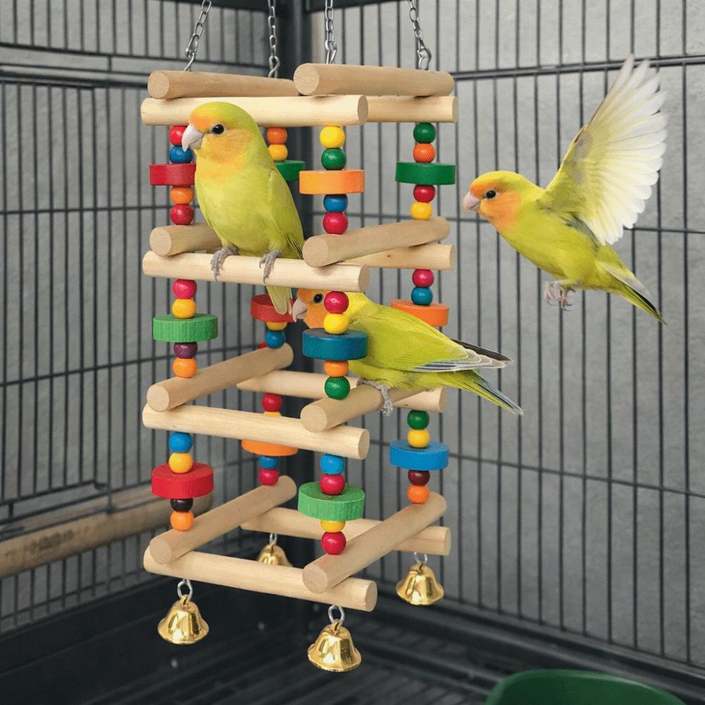 Colorful Wooden Parrot Chew Bite Resistant with Bells Parrot Swing Hanging Multi Layer Bird Cage Standing Training