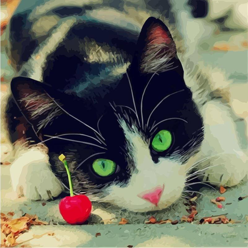 50x50cm Photos Par Numero Kits De Chat Cadre De Bricolage Dessin Moderne Sur Toile Peinture D Art Peint A La Main Peinture Cadeau Par Numero Figure D Animal Acheter A Prix Bas Livraison