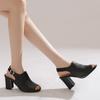 Women's High-heeled Sandals Spring and Summer New Thick-heeled Large-size Fish-mouth Sandals