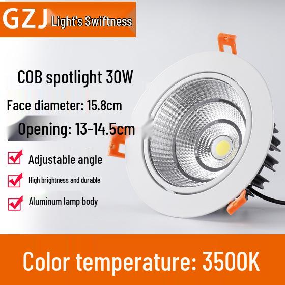 Recessed 20W Spotlight Downlight for Clothing Stores, 15-30W Commercial Ceiling Light