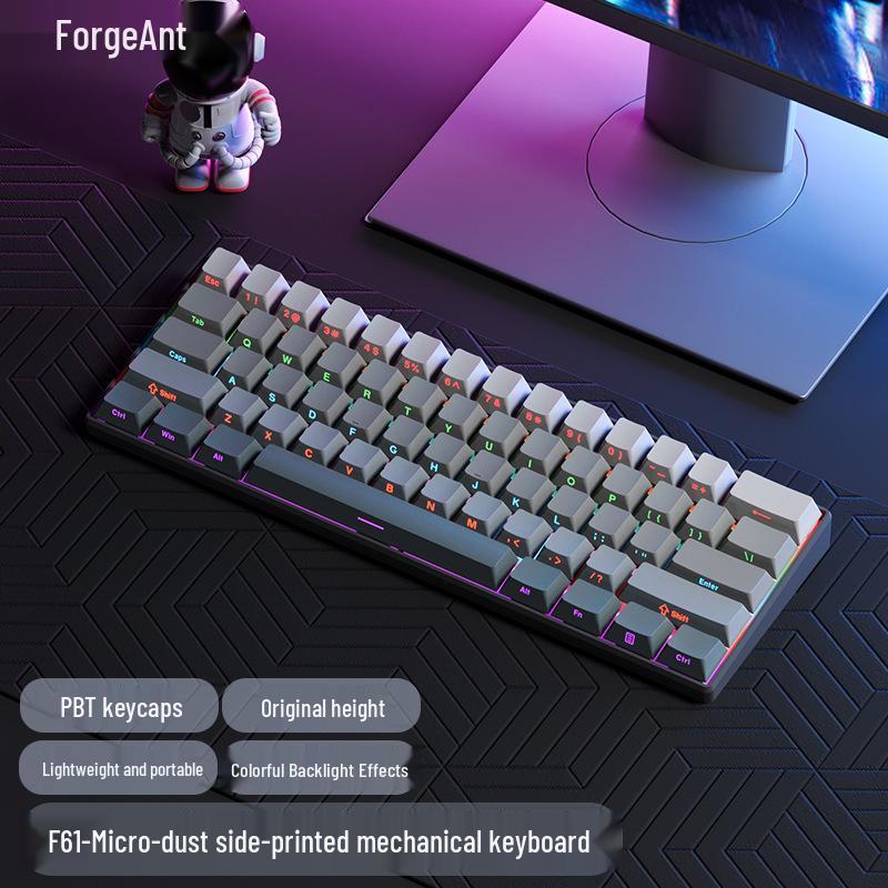 61-key Wired Mechanical Keyboard, Blackberry Gradient Design for Gaming & Office, High Aesthetic Value for Girls