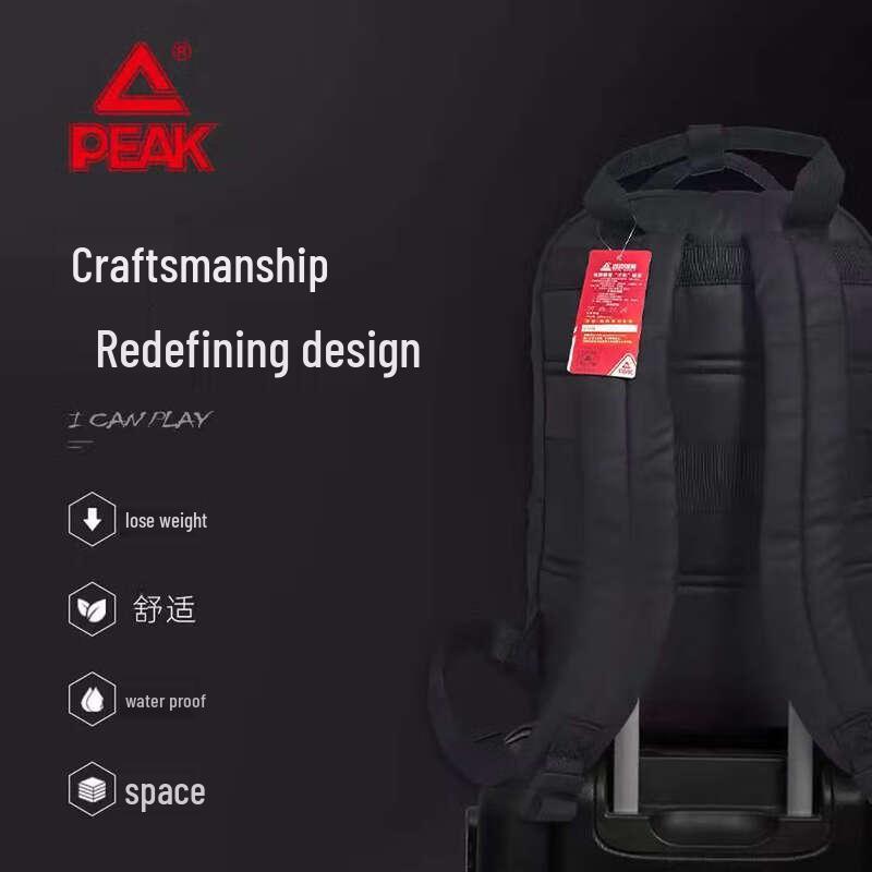 Peak Casual Business Backpack