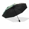 Anime Character, Fantasy Art Automatic Opening and Closing, 8 Rib Structure Portable Umbrella, Suitable for Men and Women In All Seasons  Pe