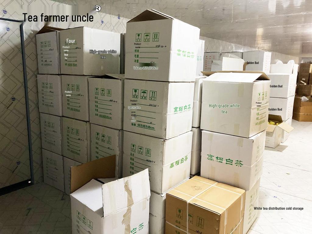 Uncle Phoenix Mao Feng White Tea - Pre-Rain First Grade 2025 Spring Green Tea