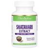 Shatavari Extract, 60 Vegetarian Capsules (250 Mg Per Capsule)