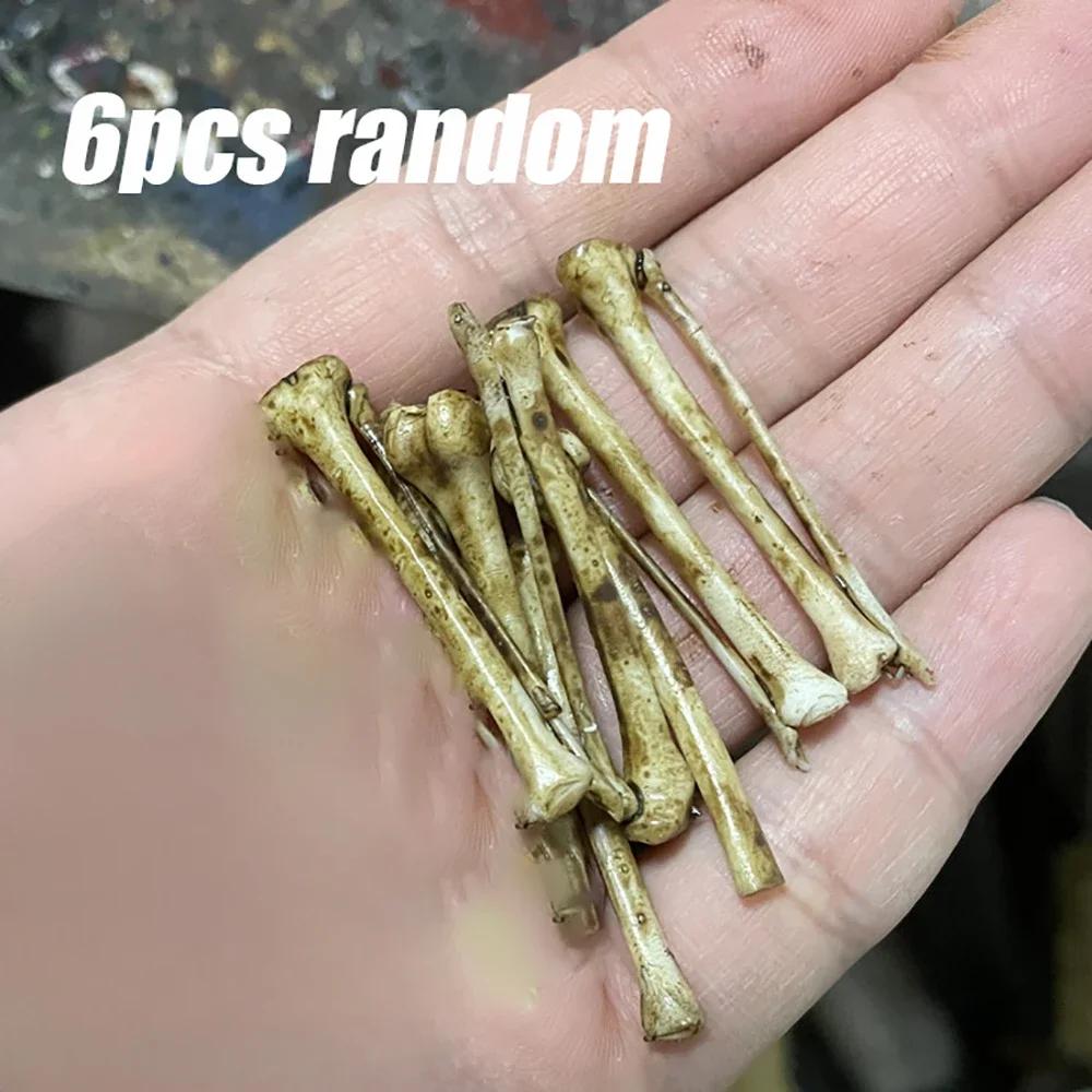 

Висока якість 1:12 мініатюрних моделей скелетів та черепів для Хелловіну, декору дому, лялькового будиночка, рослин, акваріумів