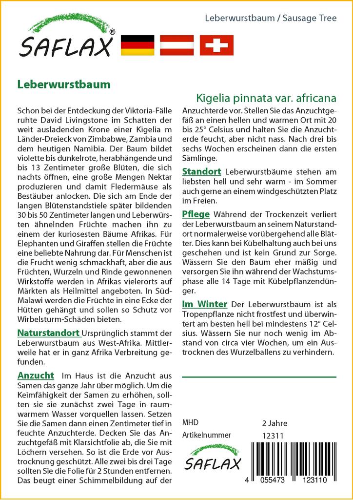 SAFLAX Sausage Tree - 10 Seeds - Kigelia Pinnata