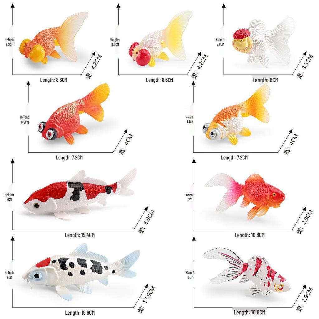 Ornamental Fish Model: Red-crowned Crane & Skygazer Dragon with Water-bubble Eye Shubunkin Goldfish Koi