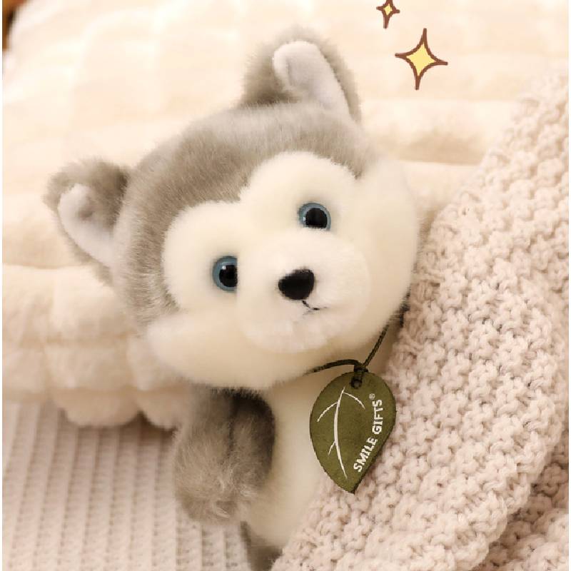 Ailurus Husky Fulgens Yellow White Cat Koala Fox Panda Border Collie Plush Toy