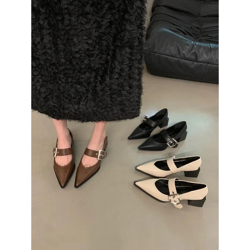 Fashion Hot Selling Retro Pointed Mary Jane Small Leather Shoes for Women 2025 Autumn and Winter  Korean Version of Chunky Heel Loafers