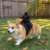 Zářící dýňový jezdec Obleček pro mazlíčka Bezhlavý jezdec Kostým pro psa s dýní, Postroj pro Halloweenské večírky Silueta Mazlíčci A Fotografie,