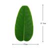5 PZ Foglie di Banana Banana Artificiale Per Decorazione Domestica Hawaiana