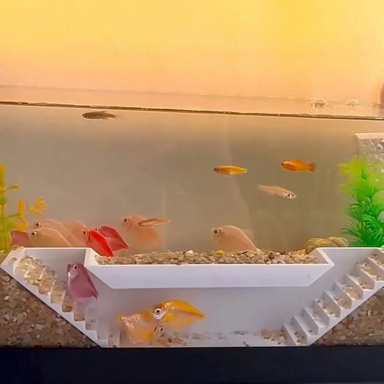Fish Hideout Tunnel Under Gravel Viewing Cave with Steps Fish Shelter Resting Cave for Aquariums Freshwater Saltwater Fish Tanks