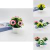 Peony Flower Miniature Potted Plant For Wedding Decor And Photography Props