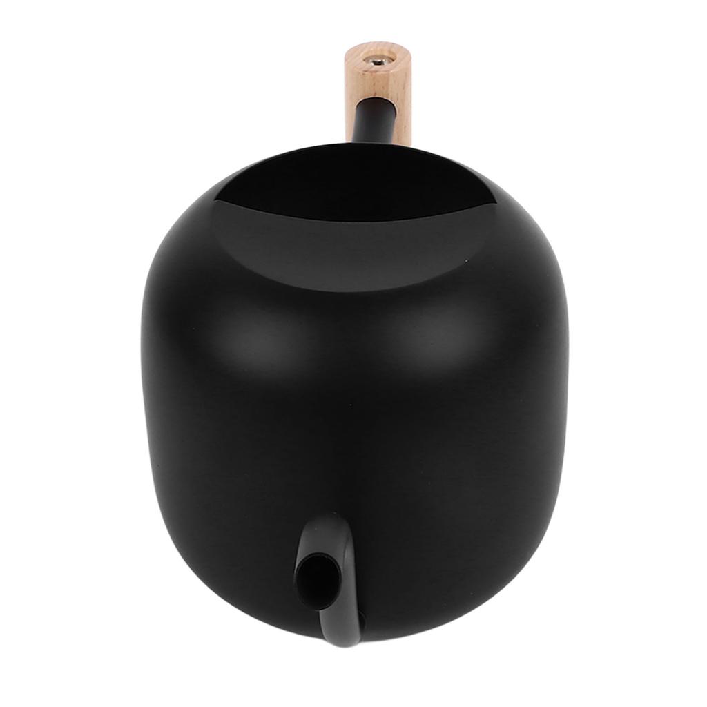 Metal Watering Can Wooden Handle Long Spout Watering Can Pot for Indoor House Plants Bonsai Outdoor Garden Flower 1.2L