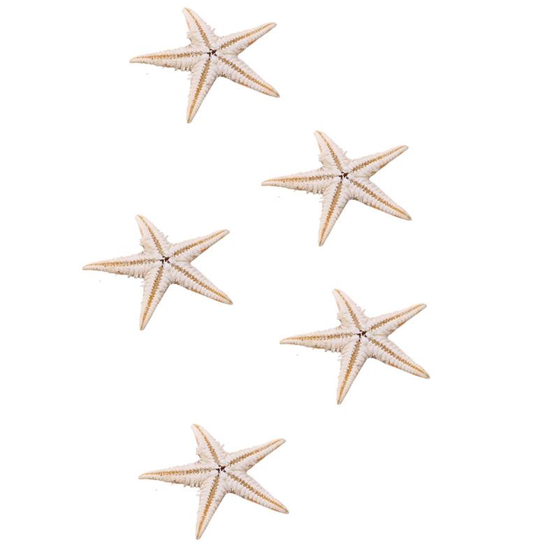100Pcs/pack New Simulation Natural Starfish Micro Landscape DIY Hanging Photo Frames Candles Beach Handicrafts Home Decoration
