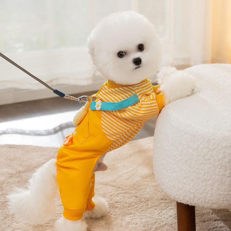 Dog clothes three-dimensional chick can be towed four-legged clothes than bear small dogs autumn and winter thickened warm pet clothing