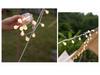 Canopy Tent Solar LED Star Lights for Outdoor Camping & Holiday Decorations