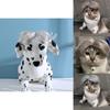 Stylish And Unique Pet Wig For Cats And Dogs Made Of Soft Nylon Fiber Ideal For Fashionable Pets