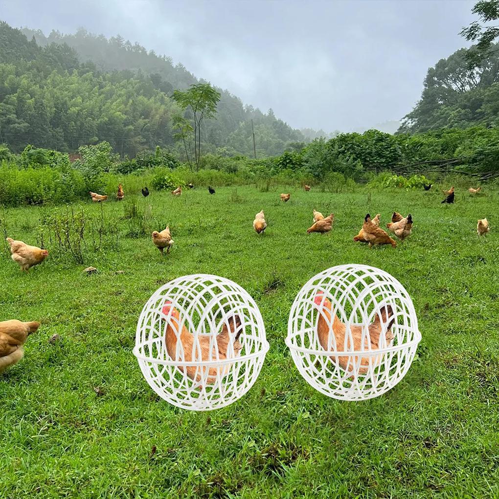 3PPCS  Chicken Ball Cage PVC Movable Spherical Chicken Cage Round Rabbit Cage Can Roll And Walk To Feed Free Range Chicken Cage