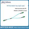 Mellanox 400G 1-to-2 Splitter Cable