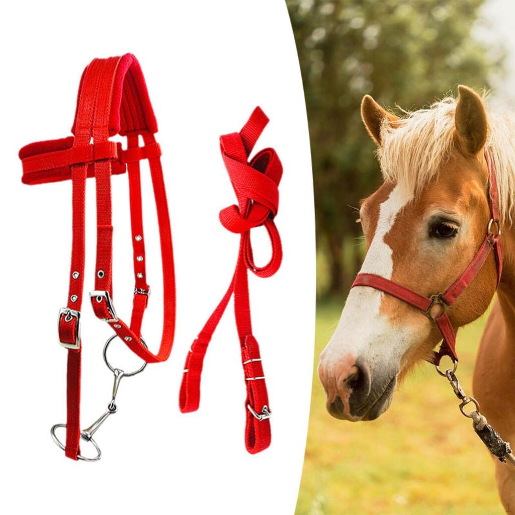 Horse Bridle with Rein And Leading Rope Equestrian Gear for Comfortable Use