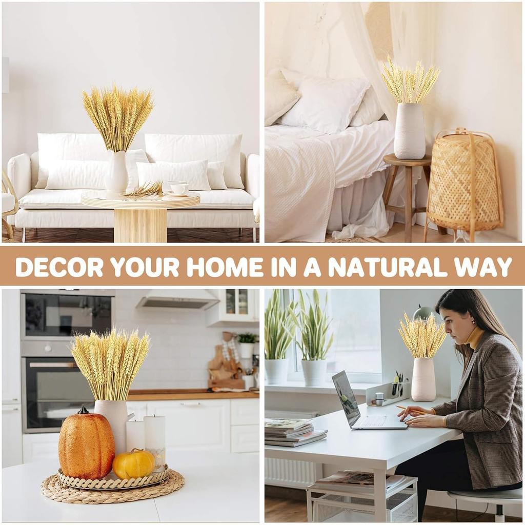 100 Pcs Dried Wheat Stalks for Decor, Sheaves Grass Natural Bunch Flowers Home Wedding Table Kitchen Boho Farmhouse Fall Arrangement DIY Decoration