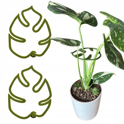 Support for Plants Flowers Stand Monstera Strong Holder Clip M 15cm X2
