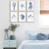6 Pcs Blue Coastal Wall Art Watercolor Starfish Conch Jellyfish lobster Painting Cute Sea Life Poster Print for Modern Waterfront Themed Home