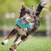 Pet Supplies Chew Toys Flying Saucer Pet Educational Toys
