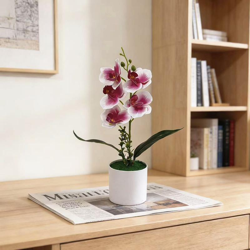 No Ip Artificial Orchid Plant With Plastic And Soft Gel For Home Decor And Photography Props