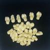 Pack of 10 Compressed Seashell Powder Trumpet Flower Cabochons 10x16mm Cream Floral Ornament Handmade Craft Supplies