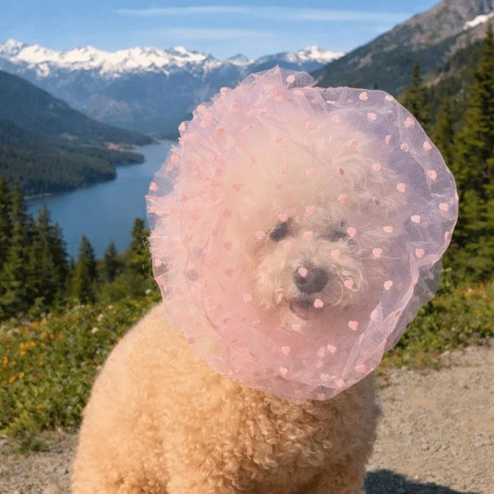 Breathable Dog Anti-Eating Veil Comfort Adjustable Pet Dog Mouth Cover Elastic Polyester Anti Licking Headband Behavior Control