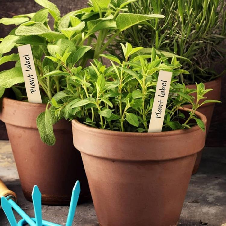 100Pcs Weather Resistant Wooden Garden Stakes Wooden Garden and Sign Post for Plant Support Fence Yard Gardening