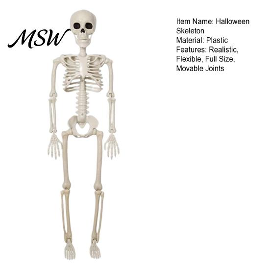 Posable Skeleton Prop for Haunted House Halloween Decoration, 3Ft Life Size Full Body Human Bone, Realistic Standing Horror Atmosphere with