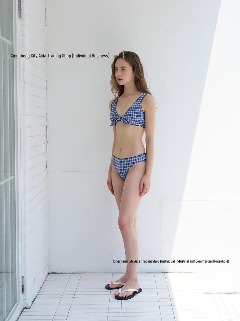 2026 Women's Sexy Deep V Three-Piece Swimwear: Japanese & Korean Bikini with Big Bust and Skirt Style