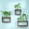 Small Fresh Hydroponic Green Vase Wooden Frame Vase Decorative Ornament Wall Mounted