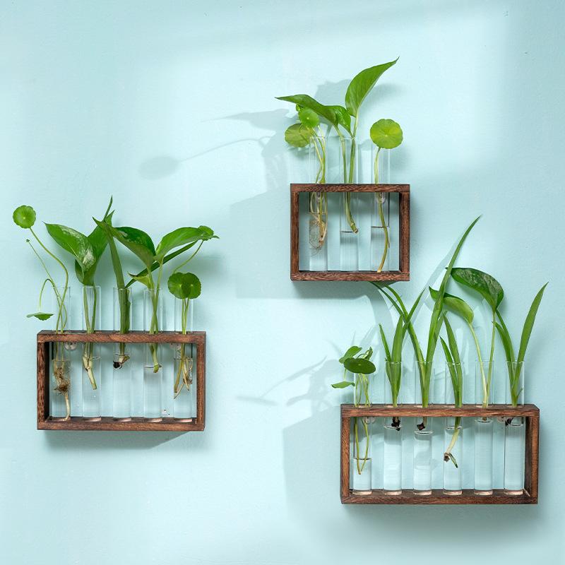 Small Fresh Hydroponic Green Vase Wooden Frame Vase Decorative Ornament Wall Mounted