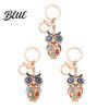 Owl Keychain with Enamel Accents Sparkling Rhinestone Car Key Ring