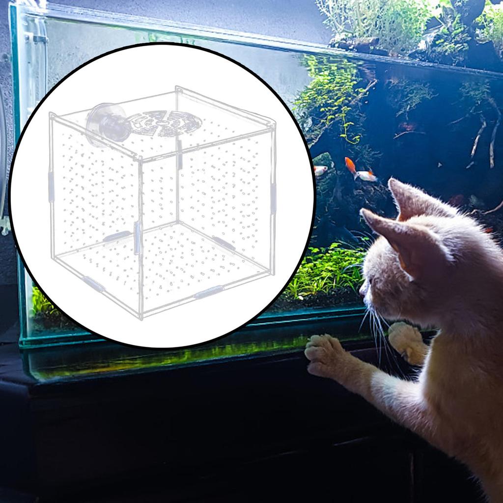 Breeding Isolation Container for Acrylic Tanks with Fry Holder