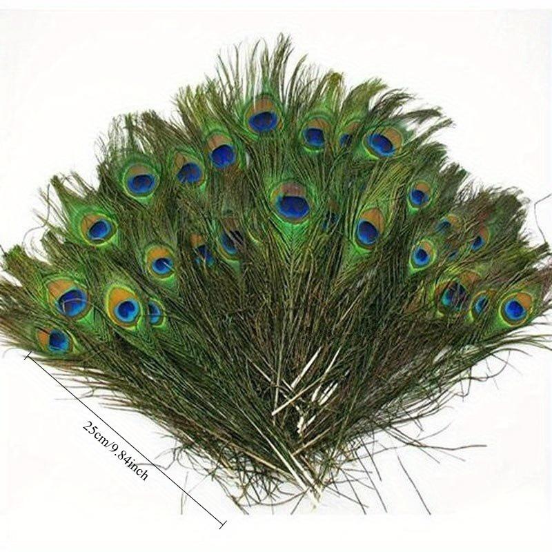 10 STÜCKE Große Augen Pfauenfedern Naturfeder für DIY Bastelzubehör Hochzeit Zuhause Hotel Dekoration Federn