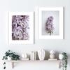 Lilac Flower Poster Botanical Canvas Painting Nordic Natural Print Modern Wall Art Pictures For Living Room Home Decor