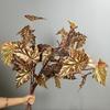 Plastic Simulation Greenery Long Branch Fake Tree Leaves Artificial Green Plants  Home Office Decor