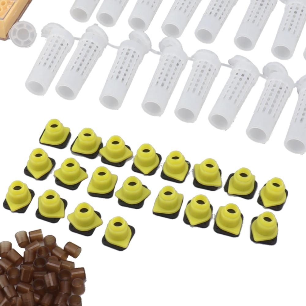 143 Pcs Set Easy to Use Plastic Queen Bee Rearing System Durable Queen Rearing Grafting Kit Bee Rearing System Box Beekeeping