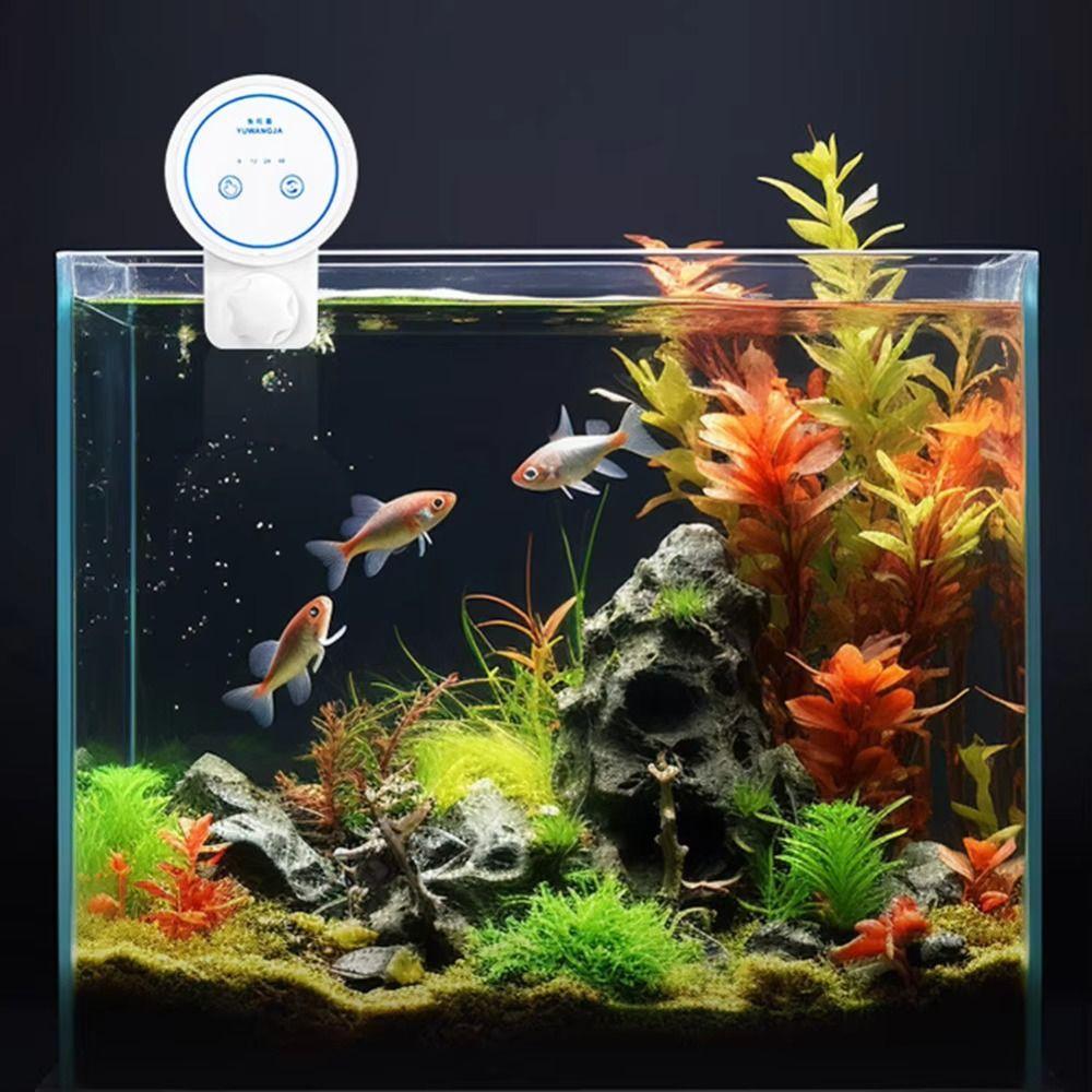 Large Capacity Fish Food Dispenser Moisture-Proof Fish Tanks Feeders  Fish Tanks