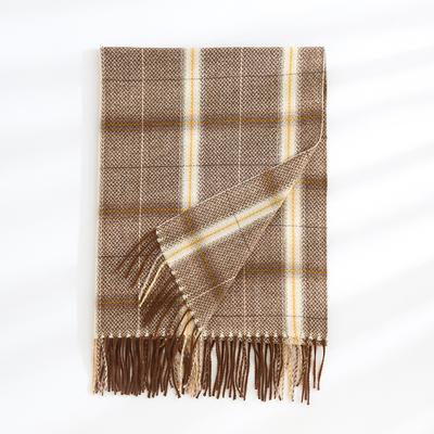 New Fashion Versatile Personalized Imitation Cashmere Checkered Coffee Scarf Women's Warm Long Neck Big Shawl